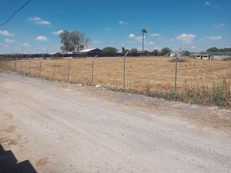 Foto 21865239-2989-4316-9dd0-398c8e6115fd. Terreno residenziale in Estación - La Fontanilla - El Tinte Utrera