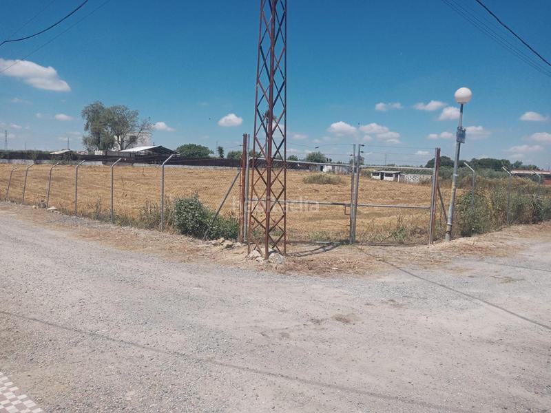 Foto 4ad63059-82cb-4106-910d-b8e05bffed34. Terreno residenziale in Estación - La Fontanilla - El Tinte Utrera