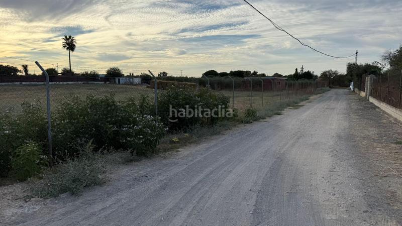 Foto 54f43091-8da5-4938-b4d3-26be1ec9bf88. Terreno residenziale in Estación - La Fontanilla - El Tinte Utrera