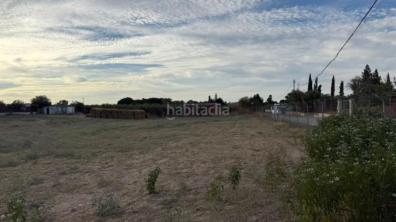 Foto 66ffda9a-3537-4f6c-996b-72cda48a1577. Terreno residenziale in Estación - La Fontanilla - El Tinte Utrera