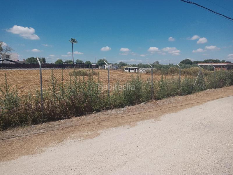 Foto 859e8e78-c094-4154-9263-26600172cb5f. Terreno residenziale in Estación - La Fontanilla - El Tinte Utrera