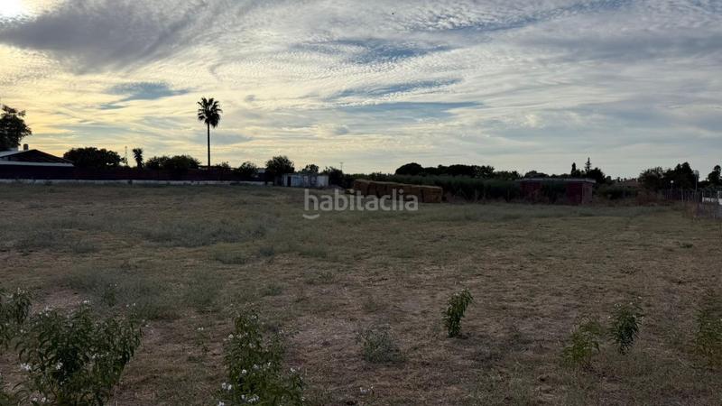 Foto 89c7387f-880f-42fb-9204-a6a97a2529b7. Terreno residenziale in Estación - La Fontanilla - El Tinte Utrera