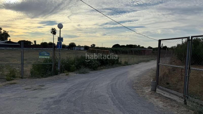 Foto d46a5696-983d-4e89-b9a5-aa32ff79c3bc. Terreno residenziale in Estación - La Fontanilla - El Tinte Utrera