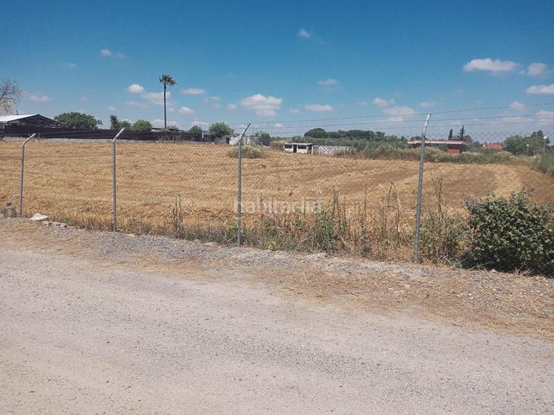 Foto f4521f15-0e10-4ab0-ae20-d12f6c82e12c. Terreno residenziale in Estación - La Fontanilla - El Tinte Utrera