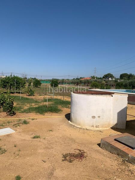 Foto 520c3534-c117-49bf-a7a5-011b659ae8b6. Finca rústica venta de terreno rústico en La Paz Alcalá de Guadaira