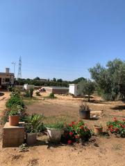 Finca rústica a La Paz. Venta de terreno rústico