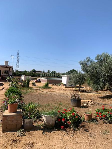 Foto 62562c92-f714-484a-bd90-c62a803c96ed. Finca rústica venta de terreno rústico en La Paz Alcalá de Guadaira