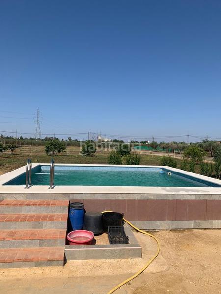 Foto 634ff131-5dfd-4cbf-af48-d40bc5af1b0d. Finca rústica venta de terreno rústico en La Paz Alcalá de Guadaira