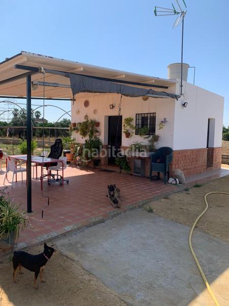 Foto 912d10f1-1af3-449f-9db5-166e8709ecea. Finca rústica venta de terreno rústico en La Paz Alcalá de Guadaira
