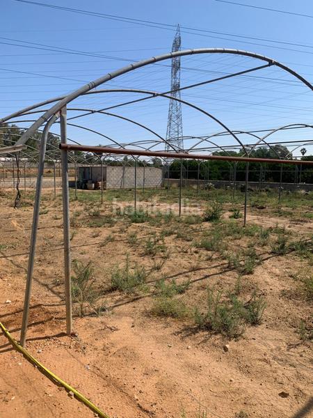 Foto 9d1bf8d2-d952-4d2b-8d0f-0c8a14df046f. Finca rústica venta de terreno rústico en La Paz Alcalá de Guadaira