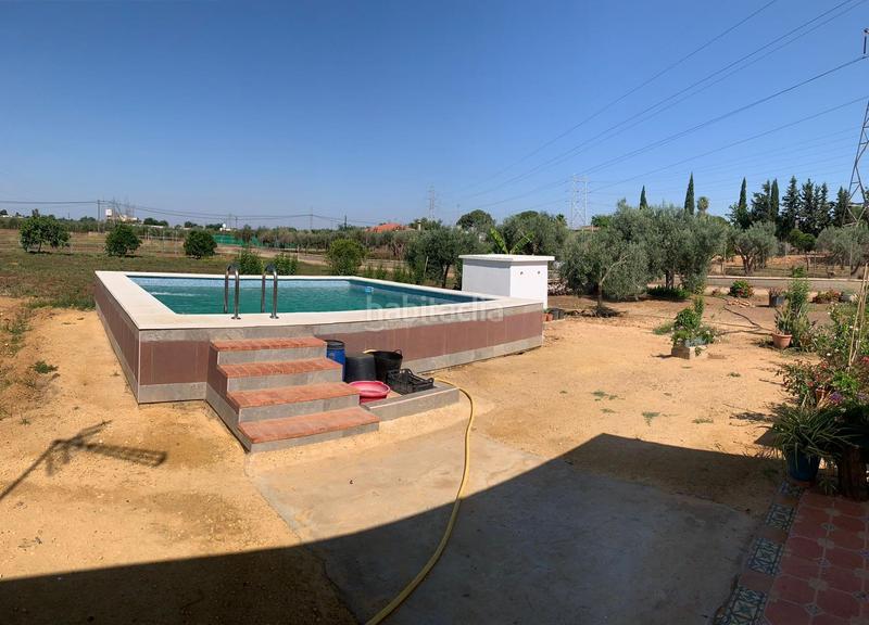 Foto f4d3f0f2-2262-4d4b-a4e6-65e1ceb273a8. Finca rústica venta de terreno rústico en La Paz Alcalá de Guadaira