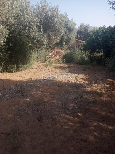 Foto 48e70b8d-f1b4-4ddb-b8ea-f4487b23e155. Finca rústica venta de terreno rústico en Coria del Río