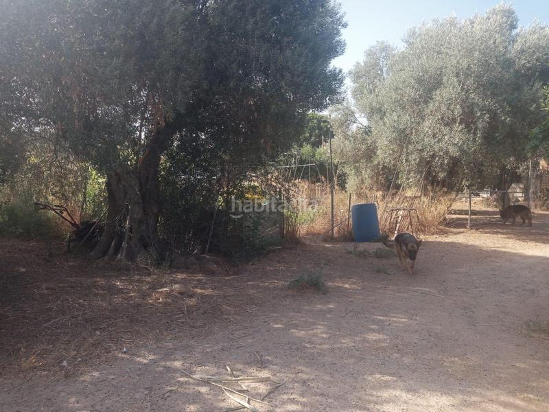 Foto b1797c14-5761-4256-bad0-3fcf4476a20c. Finca rústica venta de terreno rústico en Coria del Río