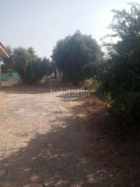 Foto e2054b5a-9caf-4ec4-b048-dc239b096086. Finca rústica venta de terreno rústico en Coria del Río