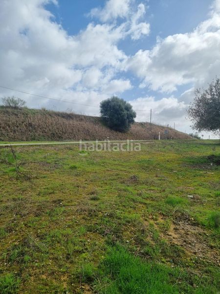 Foto f20a3610-6555-4aef-a95f-064b559395af. Casa adossada amb piscina a Burguillos