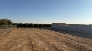 Finca rústica en Palacios y Villafranca (Los). Venta de terreno rustico