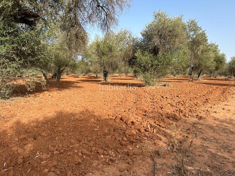 Foto fa68be3a-d9ef-4a3d-a957-a3d458a058c3. Terreno residenziale in La Motilla - Fuente del Rey Dos Hermanas