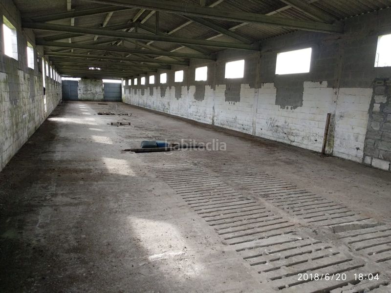 Foto 2cce2ff9-7f86-4fad-8876-bf8bcc497e2a. Affitto capannone industriale in Curtis
