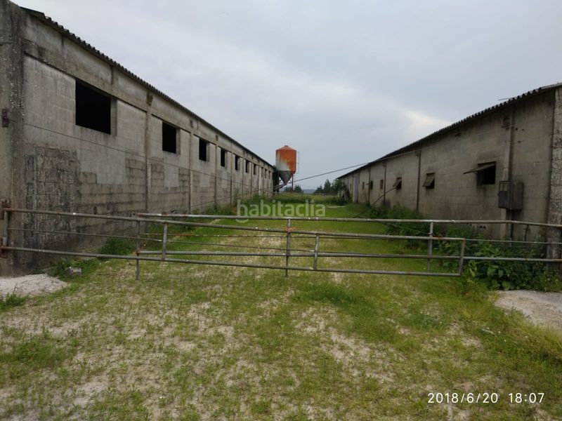 Foto 717e6bfd-27a6-4bba-ac33-a7a981232688. Affitto capannone industriale in Curtis