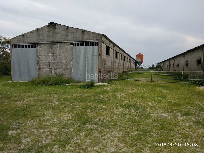 Foto d540254d-3c65-46f9-9dbe-e72d4f89f556. Affitto capannone industriale in Curtis