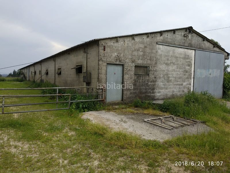 Foto f3a6ce5e-c32c-4dde-87a6-babb099dc880. Affitto capannone industriale in Curtis