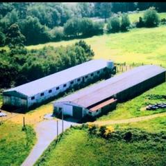 Miete Fabrikhalle in Curtis. Alquiler de dos naves en vilasantar, zona curtis
