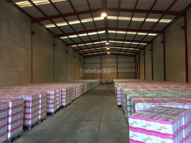 Foto 7cf54755-2490-4b66-9da4-025abc6fc610. Affitto capannone industriale in Begonte