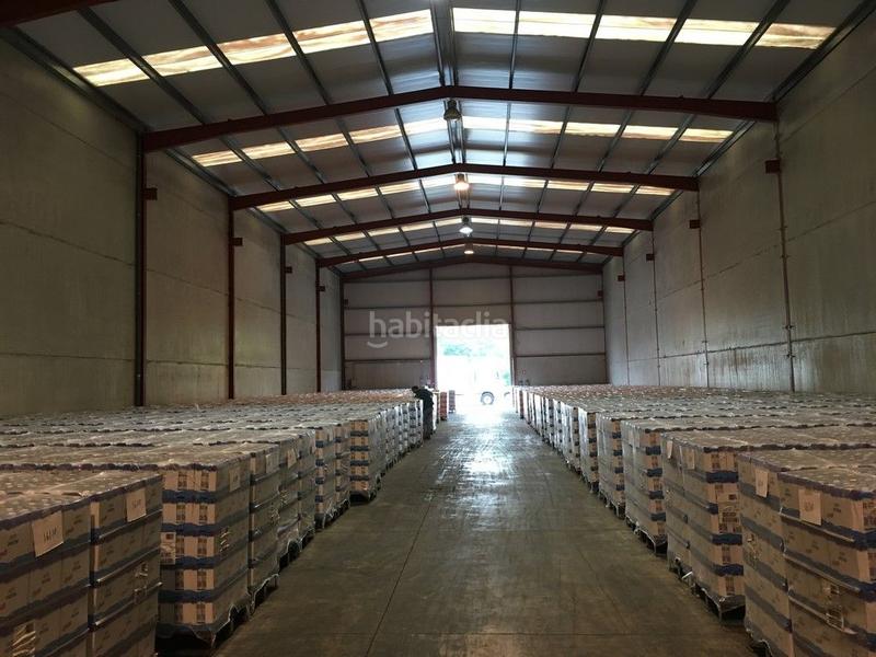 Foto 9b471f9f-d4f8-4512-9477-1c8b82283e5e. Affitto capannone industriale in Begonte