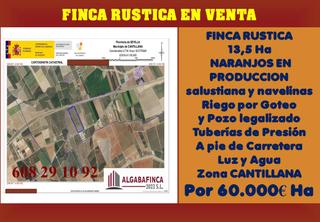Propriété à Carretera brenes 8. Magnifica finca agricola de 13.5 ha. a pie de carretera