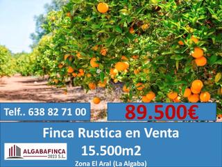 Finca rústica a Camino aral 4c. Finca agricola de 15.500 m2