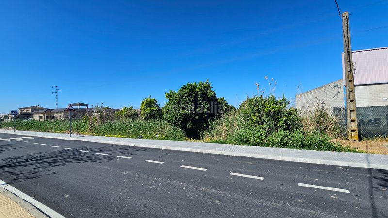Foto a628585e-3dae-40dd-801f-358412a1f2ce. Pis a camino aral 74 a Algaba (La)