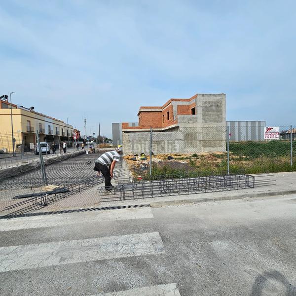 Foto f5bbbb21-e53b-4e66-8286-7cc53edd02b8. Terreny residencial a Algaba (La)