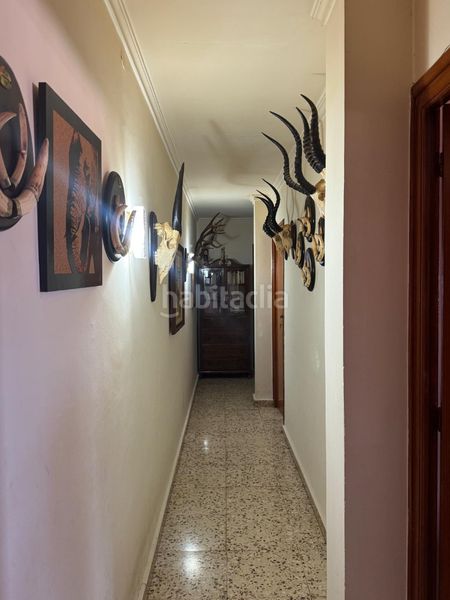 Foto 9e67c965-92d7-4cd7-b08b-85ed657705aa. Edificio in avenida nuestra señora de belén 38 in Cabeza del Buey