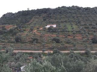 Finca rústica a N/a. 36_finca rustica en castuera_sierra del pozon