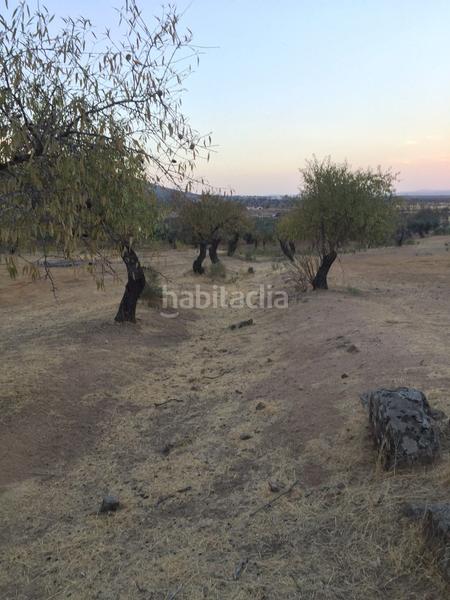 Foto 00ffe86e-edb0-4212-a1aa-a4c043dd3d5f. Finca rústica a Castuera