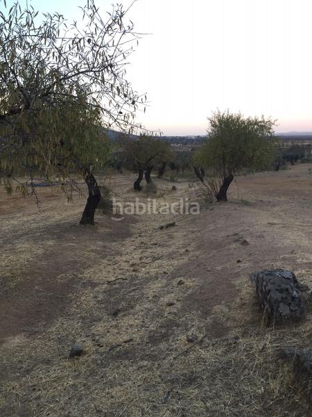 Foto 2cc276c9-c786-4b8f-848f-ba64ea6b1e1a. Finca rústica a Castuera