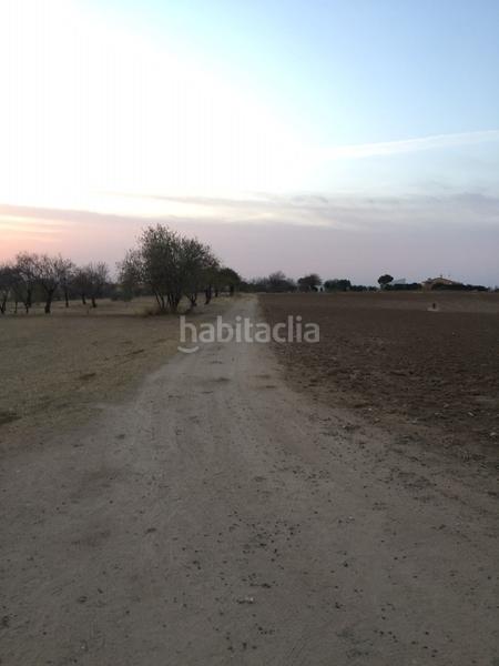 Foto 7c6c0699-a5d7-495e-b0de-86cbce564fc8. Finca rústica a Castuera