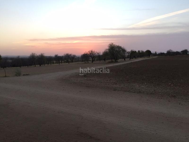 Foto 99899d34-929e-46d9-8082-056de37f312e. Finca rústica a Castuera