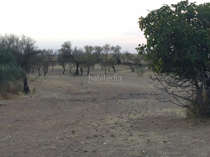 Foto 99e34204-0958-4d51-8c83-fb68184e17d2. Finca rústica a Castuera