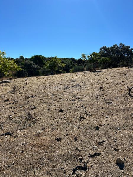 Foto 3891d44a-074c-4186-8d9b-7c20a1948fbc. Finca rústica  de recreo en Cenicientos