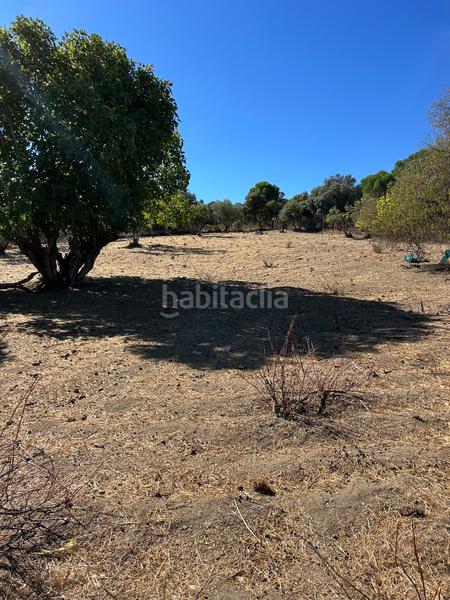 Foto 798ac7d3-a6fc-47e4-9163-68267ec78e1c. Finca rústica  de recreo en Cenicientos