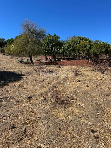 Foto c2b27536-bffd-4b97-a241-5d99e3a7d1f4. Finca rústica  de recreo en Cenicientos