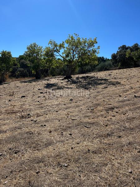 Foto cede7514-d3f7-4f07-b10c-c5c4c6ace5b5. Finca rústica  de recreo en Cenicientos