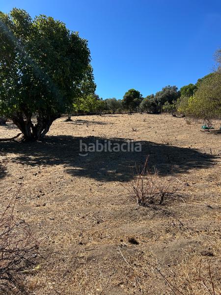 Foto d8e5107c-35b1-47df-9377-380f5f44898c. Finca rústica  de recreo en Cenicientos