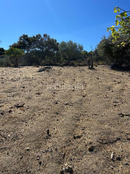 Foto f94a8232-5787-449e-9d1c-eb9b726ad120. Finca rústica  de recreo en Cenicientos