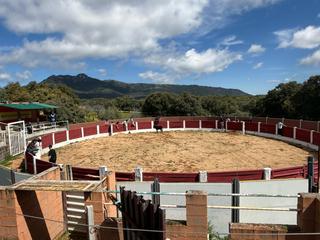 Rural plot in Almorox. Finca rústica con plaza de toros