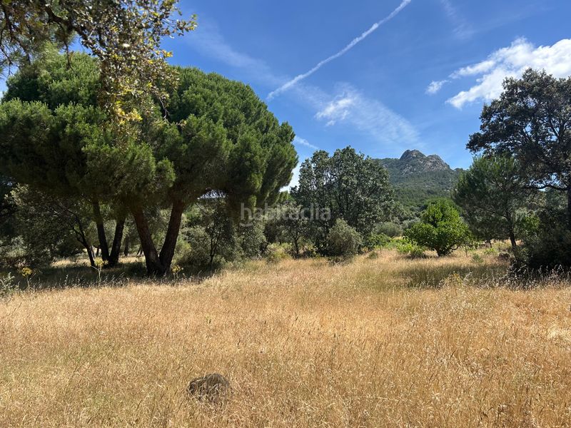 Foto 5c565bbc-d921-4914-9388-faefdf84618d. Finca rústica a Cenicientos