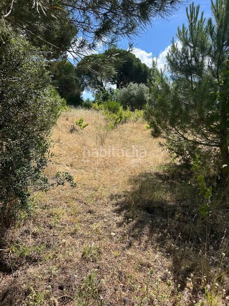 Foto 83d09fb9-dc07-49c5-989f-287e267e0ada. Finca rústica a Cenicientos