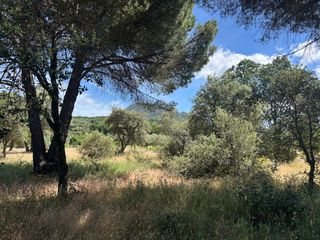 Finca rústica a Cenicientos