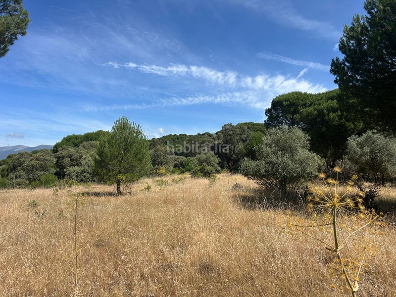 Foto ac9469f3-0ca3-4647-805d-cf71e7f2be86. Finca rústica a Cenicientos